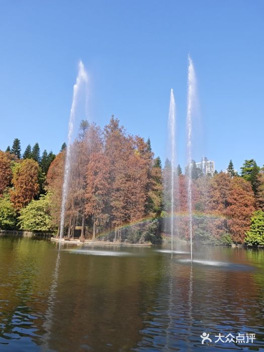 广州珠江公园图片