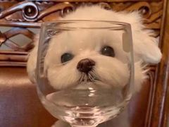 -MOJO密室逃脱(中街旗舰店)