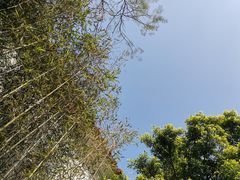 -广州西关永庆坊旅游区