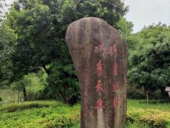 -龙游石窟
