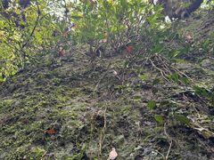 -七仙岭温泉国家森林公园