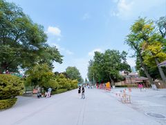 -保定市动物园