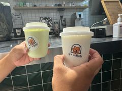 -是阿柴呀！柴犬咖啡·爱喵喵猫咖