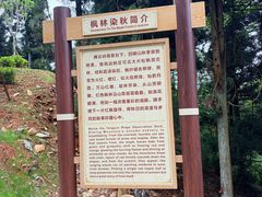 -湖南四明山国家森林公园