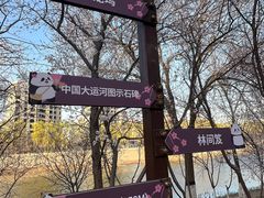 -桃花堤公园