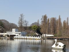 -井之头恩赐公园