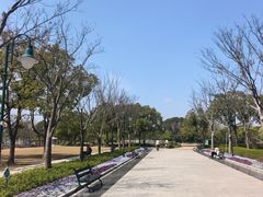 -新江湾城公园