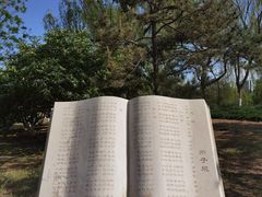 -太阳宫公园