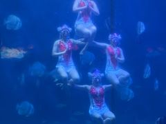 -蓬莱欧乐堡海洋极地世界