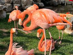 -沈阳森林动物园