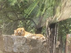 -秦皇岛野生动物园