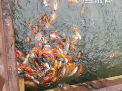 -揭东万竹园旅游景区