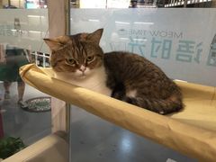 -小时光咖啡馆(开森度假森林店)