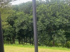 -福建鲤鱼洲酒店