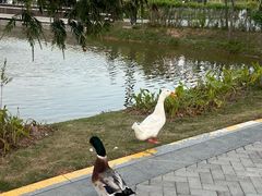 -深圳大学(丽湖校区)