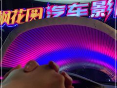 -枫花园汽车电影院(朝阳公园店)