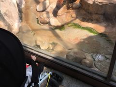 -灵玲国际马戏城