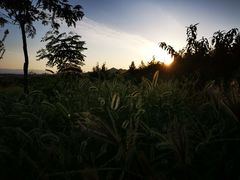 -中央统战部旧址