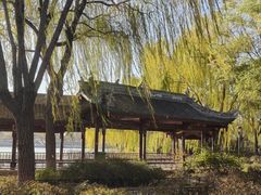 -石家庄市植物园