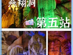 -后柳水乡