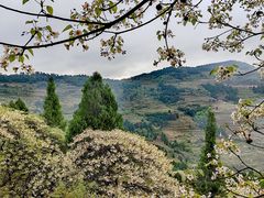 -舒家湾天主教堂