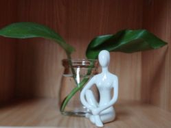 点击看大图 -禾昀瑜伽 HEYUN YOGA