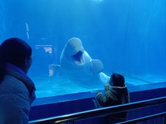 -多彩贵州城极地海洋世界