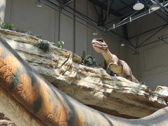 -国家自然博物馆