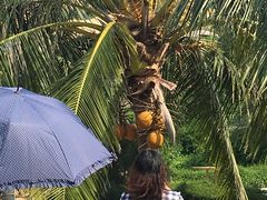 -那琴半岛地质海洋公园