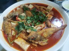 -煲来饱去冷水鱼