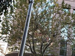 -上海置地广场(南京东路店)