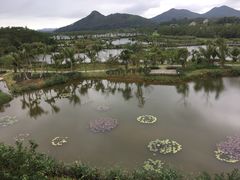 -沙美村