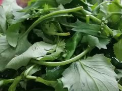 山毛野菜-金记猪肚鸡(琅西店)