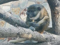 -南京金牛湖风景区