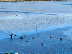 -野鸭湖国家湿地公园