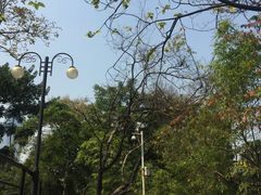 -晓港公园