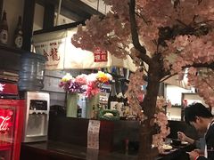 -金龙咖喱