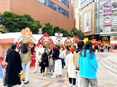 -VT101维多利广场