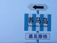 -养马岛旅游度假区