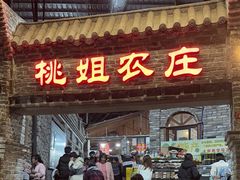 -桃姐农庄老字号(从化温泉店)