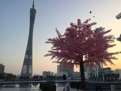 -珠江夜游广州塔·中大码头