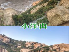 -洋山深水港