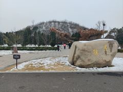 -洛阳古墓博物馆