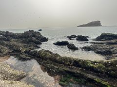-棒棰岛宾馆景区