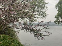 -西湖外事游船(湖滨二公园外事游船码头)