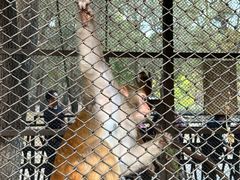 -长白岛森林公园