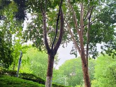 -西安市长乐公园