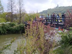 -苏州上方山国家森林公园