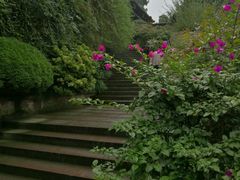 -峨眉山报国寺