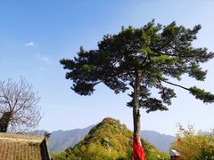-秦岭终南山世界地质公园翠华山景区